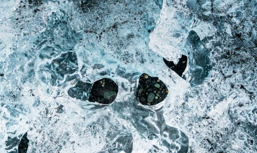 Best Corporate Limo Airport Transfer for a Night Out in Miami Florida