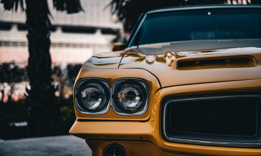 Personal Transportation and Group Transportation in Miami