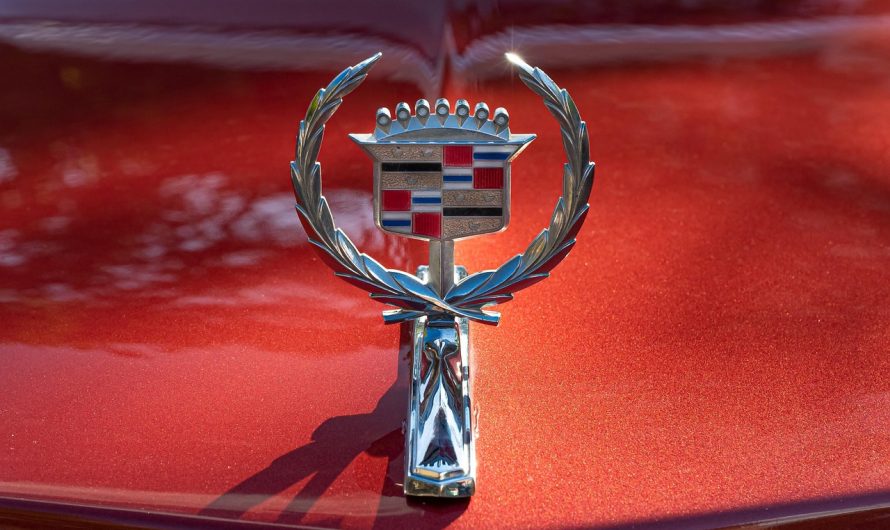 Group Transportation Miami Reliable Point to Point Service in Downtown Miami