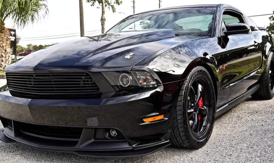 Van Transportation Miami Experience Premium Service in Miami Beach