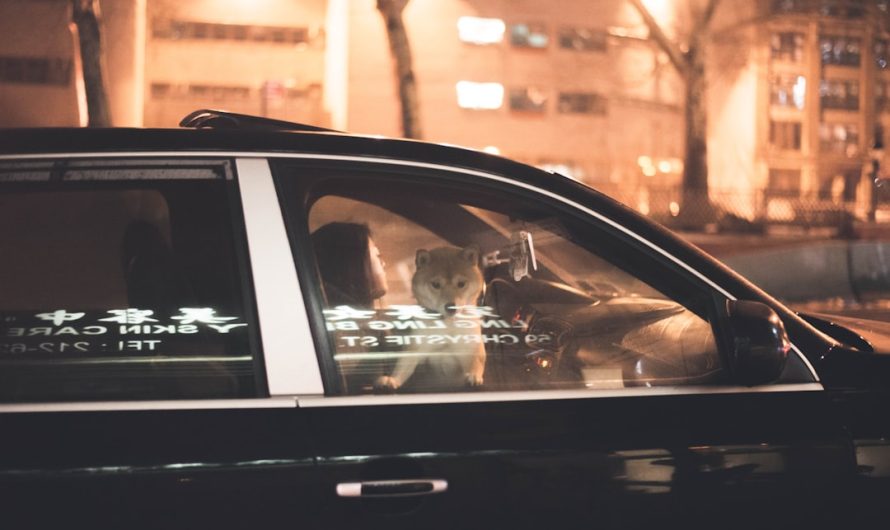 Best Chauffeur Driven Group Transportation for Company Meetings in Miami FL