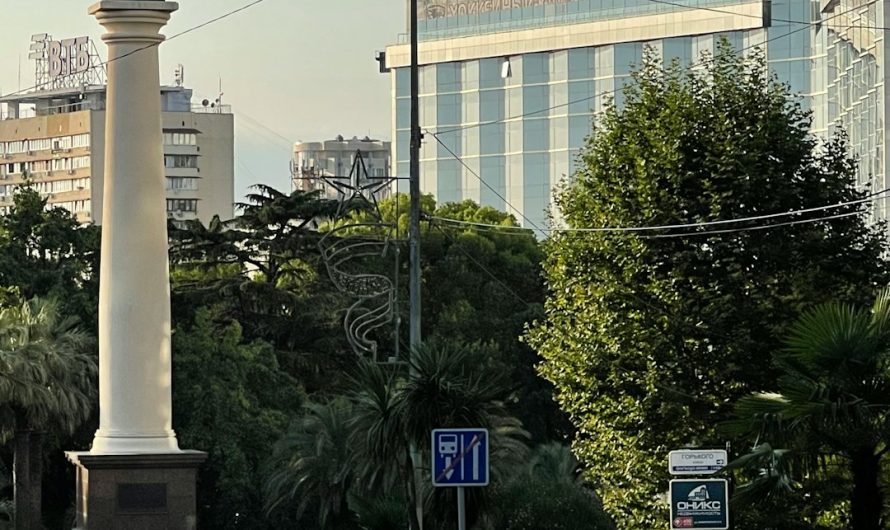 Professional Transportation in Miami Florida