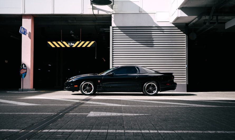 Best Corporate Limo Corporate Transportation for Night Out in Miami