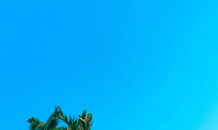 Luxury Transportation Services for Concerts in Miami