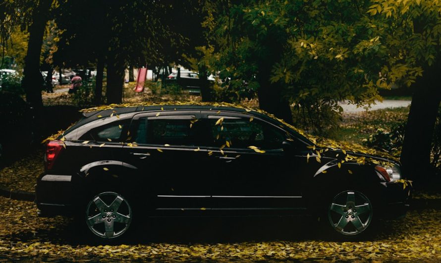 Luxury Car Service for Executives in Miami